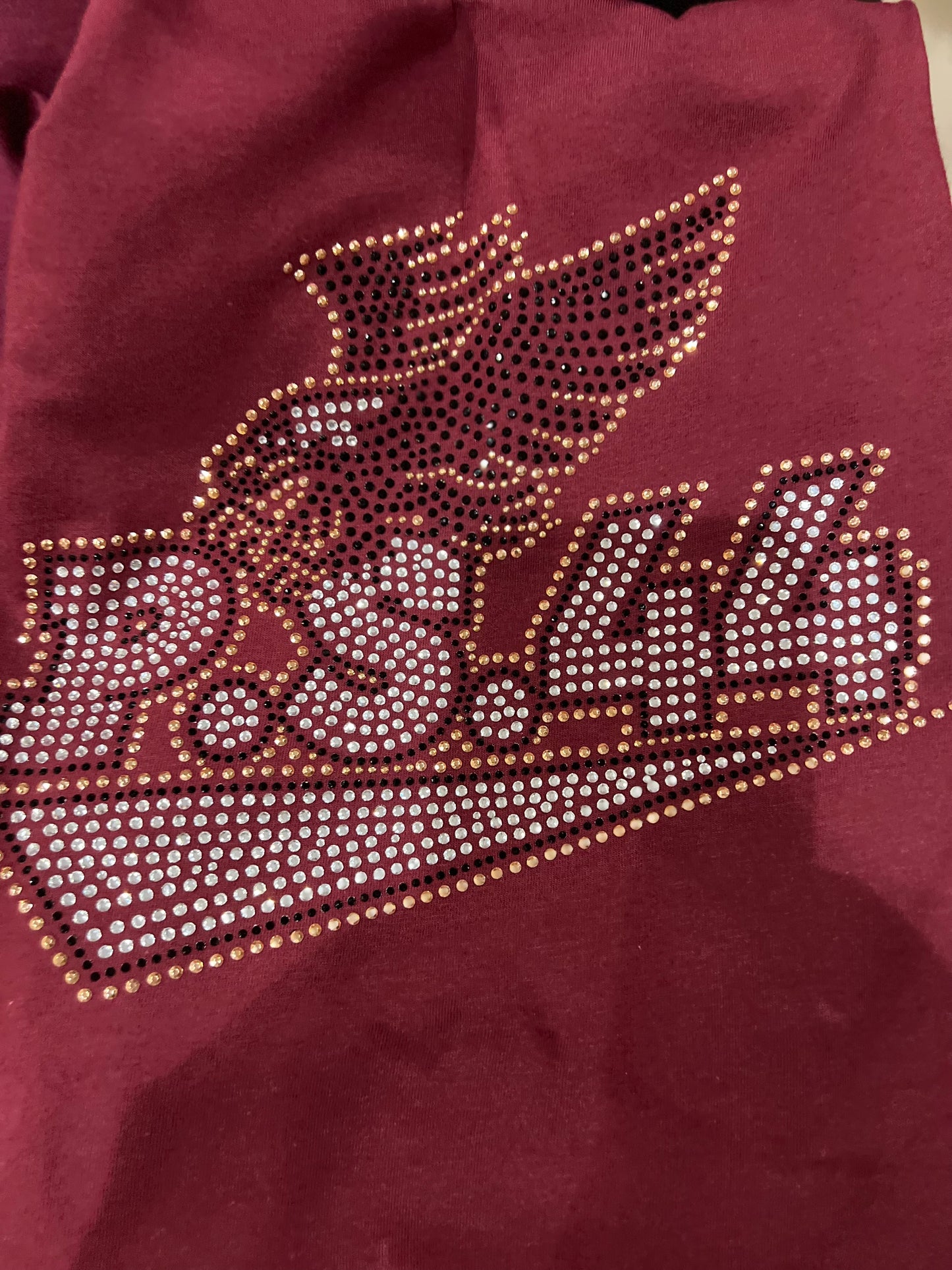 PS44 Eagles Hoodie